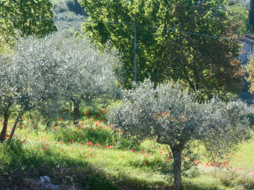 B&B Il Sentiero Di Ассизи Экстерьер фото