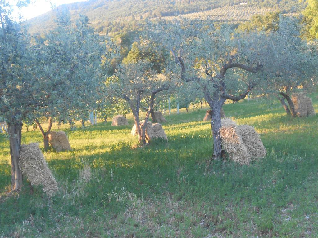 B&B Il Sentiero Di Ассизи Экстерьер фото